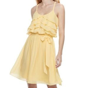 Disney Princess Dress- (L) Yellow Spring